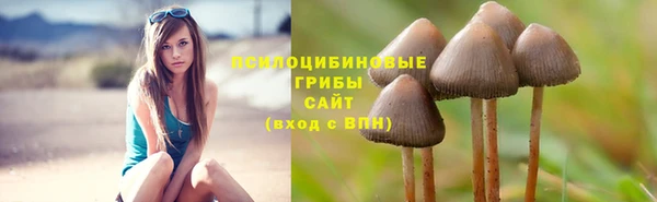 марихуана Абаза
