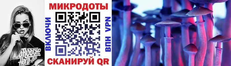 Галлюциногенные грибы мухоморы  купить наркоту  Бирюсинск 